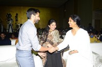 Love Story Magical Success Meet